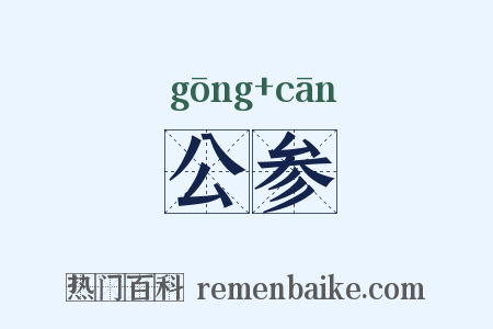 公参是什么意思的图片